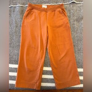 Everlane The Track Pant in Pumpkin